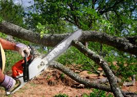 Best Soil Testing and Treatment  in Norris, TN